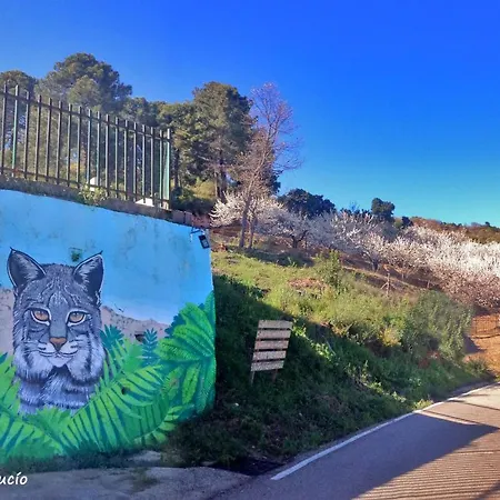 At La Abuela Antonia-la Casina Apartman