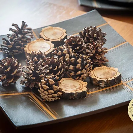 아파트 At La Abuela Antonia-la Casina *